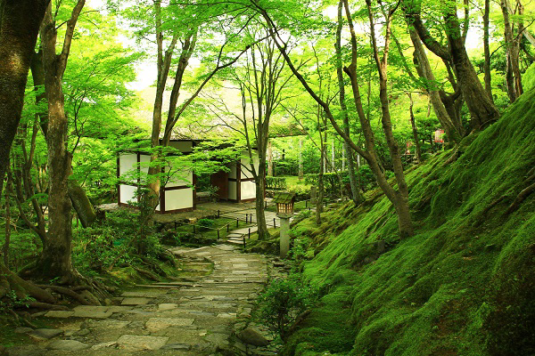 f:id:tabicafe:20200722104906j:plain f:id:tabicafe:20200722104906j:plain