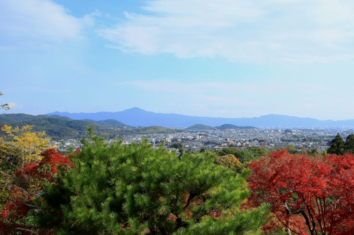f:id:tabicafe:20200722125807p:plain f:id:tabicafe:20200722125807p:plain