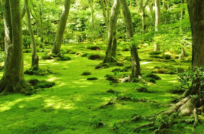 f:id:tabicafe:20200722131437j:plain f:id:tabicafe:20200722131437j:plain