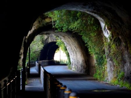 f:id:tabicafe:20200727094331j:plain f:id:tabicafe:20200727094331j:plain