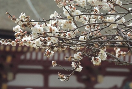 f:id:tabicafe:20200805164351j:plain f:id:tabicafe:20200805164351j:plain