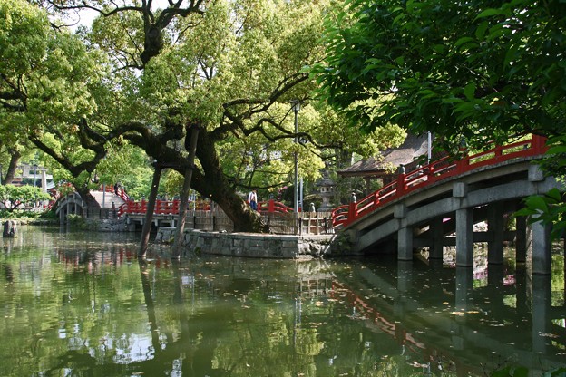 f:id:tabicafe:20200805192517j:plain f:id:tabicafe:20200805192517j:plain