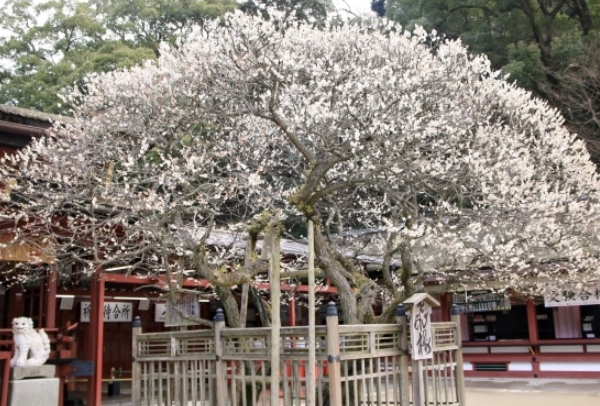 f:id:tabicafe:20200805193026j:plain f:id:tabicafe:20200805193026j:plain