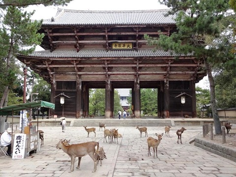 f:id:tabicafe:20200806123910j:plain f:id:tabicafe:20200806123910j:plain