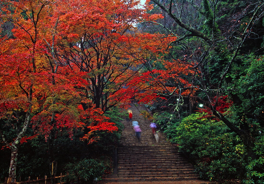 f:id:tabicafe:20200808121609j:plain f:id:tabicafe:20200808121609j:plain