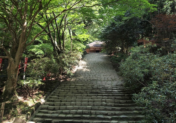 f:id:tabicafe:20200808121621j:plain f:id:tabicafe:20200808121621j:plain