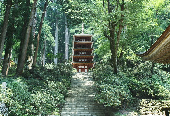 f:id:tabicafe:20200808125654j:plain f:id:tabicafe:20200808125654j:plain
