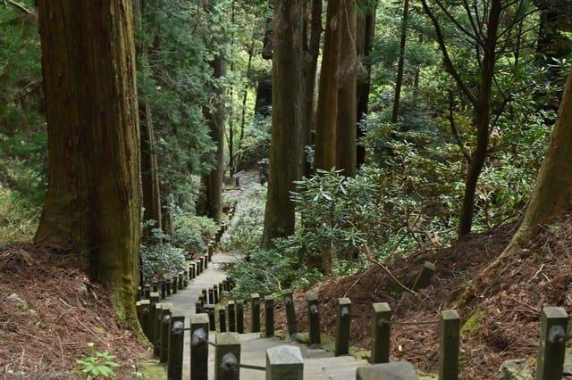 f:id:tabicafe:20200808130251j:plain f:id:tabicafe:20200808130251j:plain