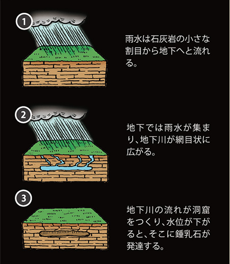 f:id:tabicafe:20200810103004p:plain