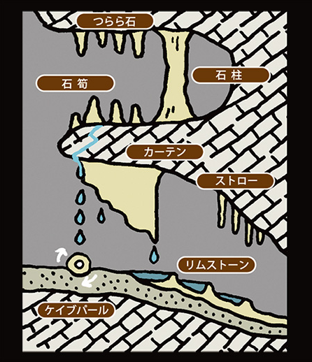 f:id:tabicafe:20200810103312p:plain