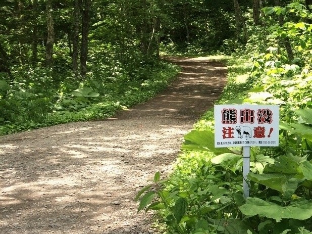 f:id:tabicafe:20200828105915j:plain f:id:tabicafe:20200828105915j:plain