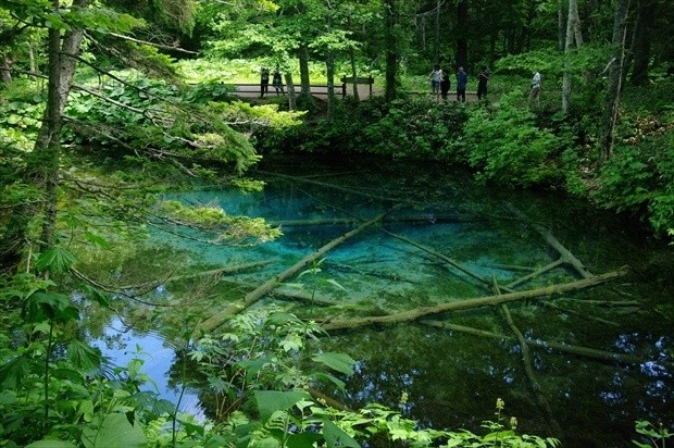 f:id:tabicafe:20200828110326j:plain f:id:tabicafe:20200828110326j:plain