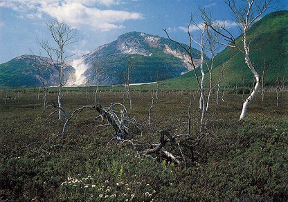 f:id:tabicafe:20200828142122j:plain