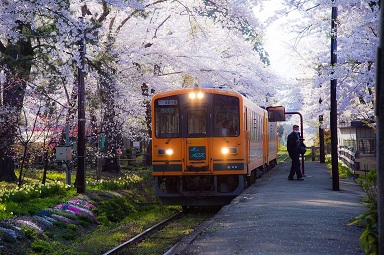 f:id:tabicafe:20200903102740j:plain