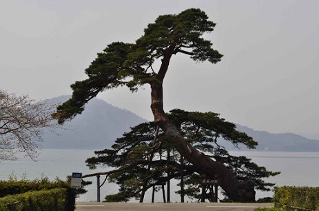 f:id:tabicafe:20200904120235j:plain f:id:tabicafe:20200904120235j:plain