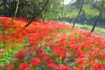 f:id:tabicafe:20200909172450j:plain