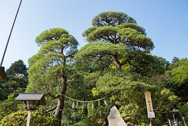 f:id:tabicafe:20200915131613j:plain