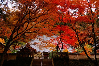 f:id:tabicafe:20200920121214j:plain