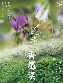 f:id:tabicafe:20200921084614j:plain