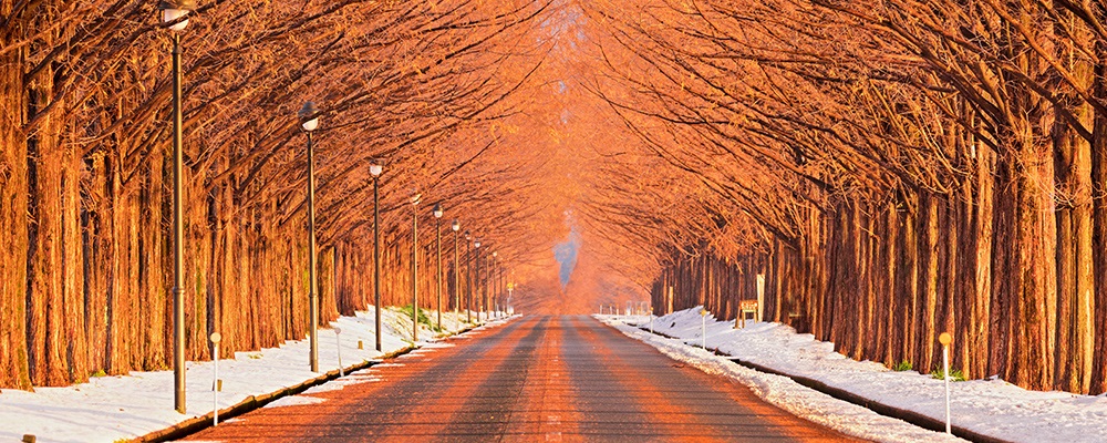 f:id:tabicafe:20200921093022j:plain f:id:tabicafe:20200921093022j:plain