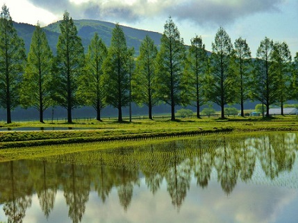 f:id:tabicafe:20200921105246j:plain f:id:tabicafe:20200921105246j:plain