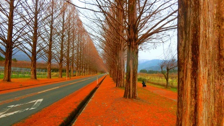 f:id:tabicafe:20200921112101j:plain f:id:tabicafe:20200921112101j:plain