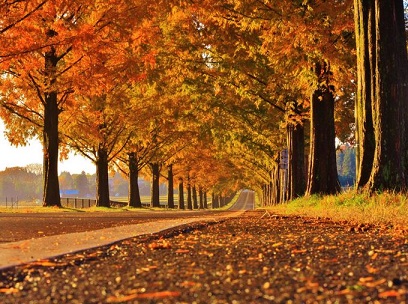 f:id:tabicafe:20200921115308j:plain f:id:tabicafe:20200921115308j:plain