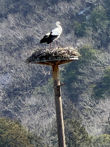 f:id:tabigayoi2017:20260225080125j:image