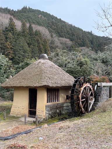 f:id:tabigayoi2017:20260225080211j:image