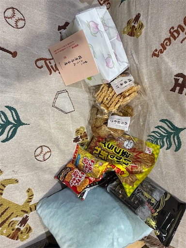 f:id:tabigayoi2017:20260225082717j:image