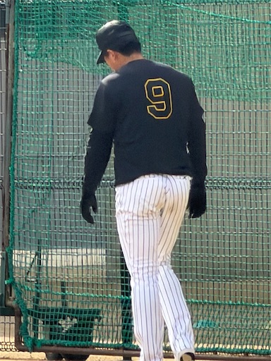 f:id:tabigayoi2017:20260227125958j:image