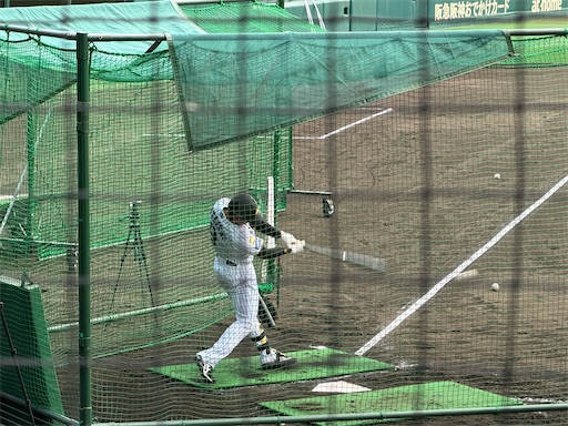 f:id:tabigayoi2017:20260228132530j:image