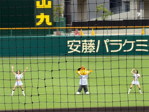 f:id:tabigayoi2017:20260708103712j:image