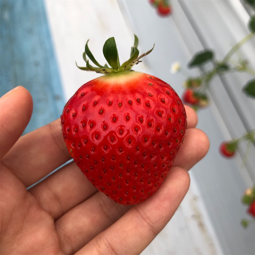 f:id:tabihate:20190306144157j:image