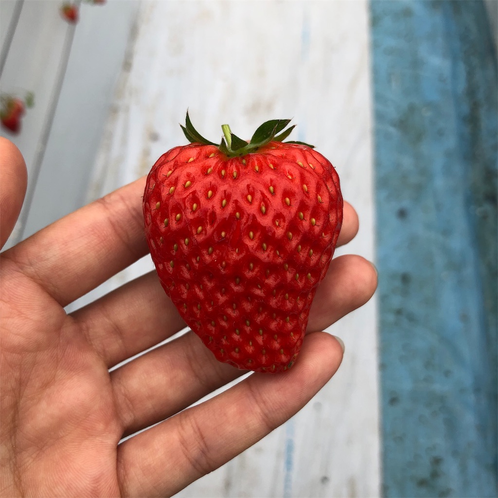 f:id:tabihate:20190306144222j:image