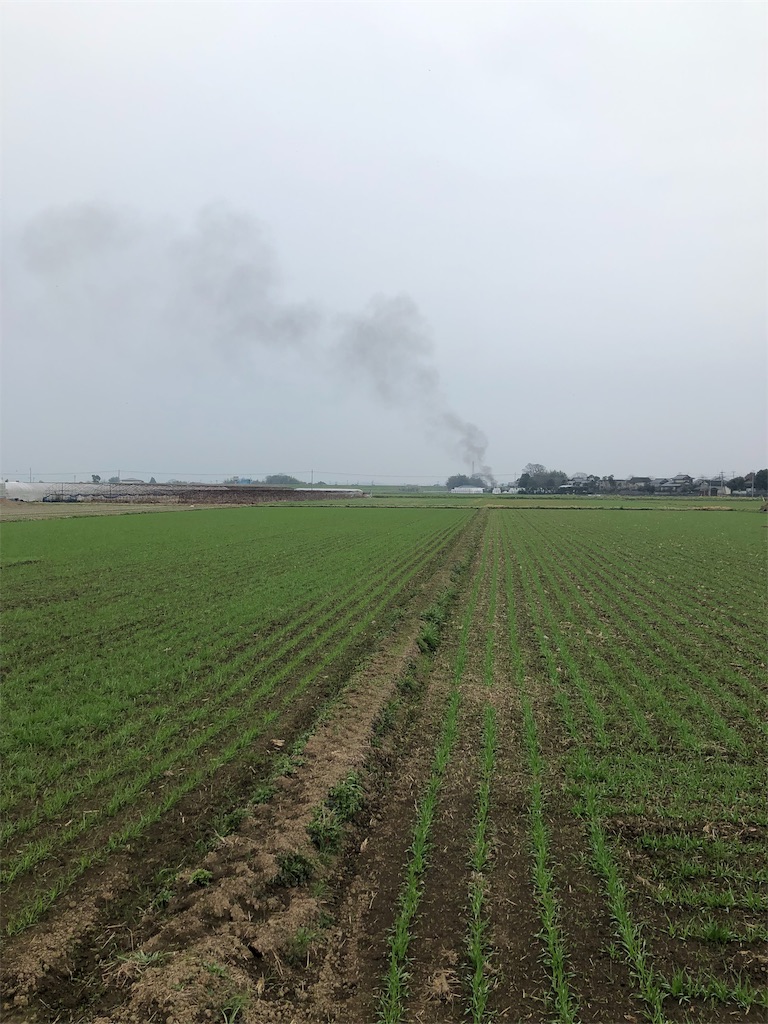 f:id:tabihate:20190306144346j:image