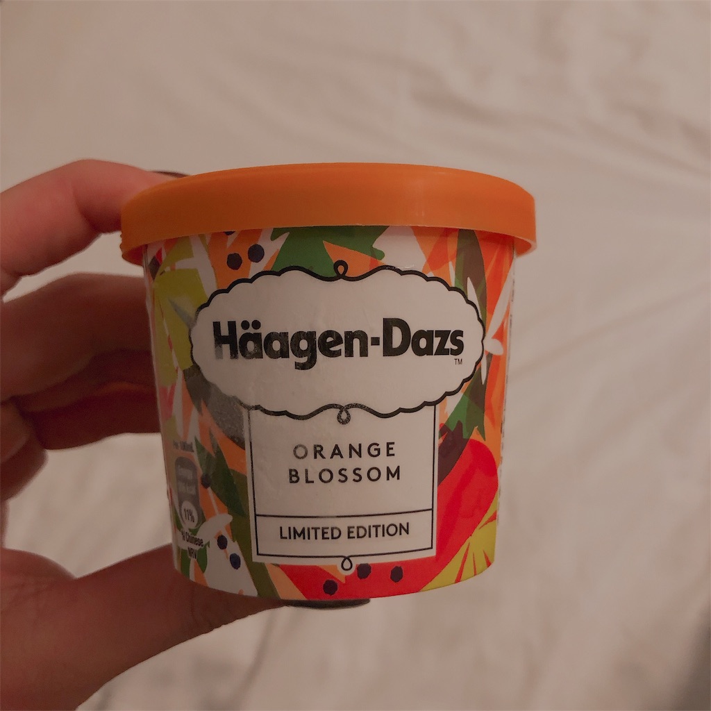 f:id:tabihate:20190330212736j:image