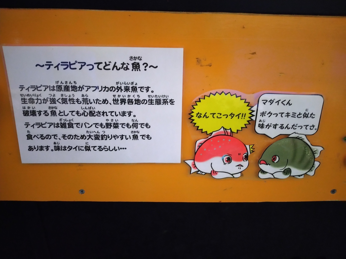 f:id:tabihiyoko:20210603220017j:plain