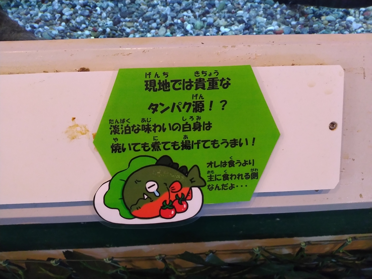 f:id:tabihiyoko:20210603220028j:plain