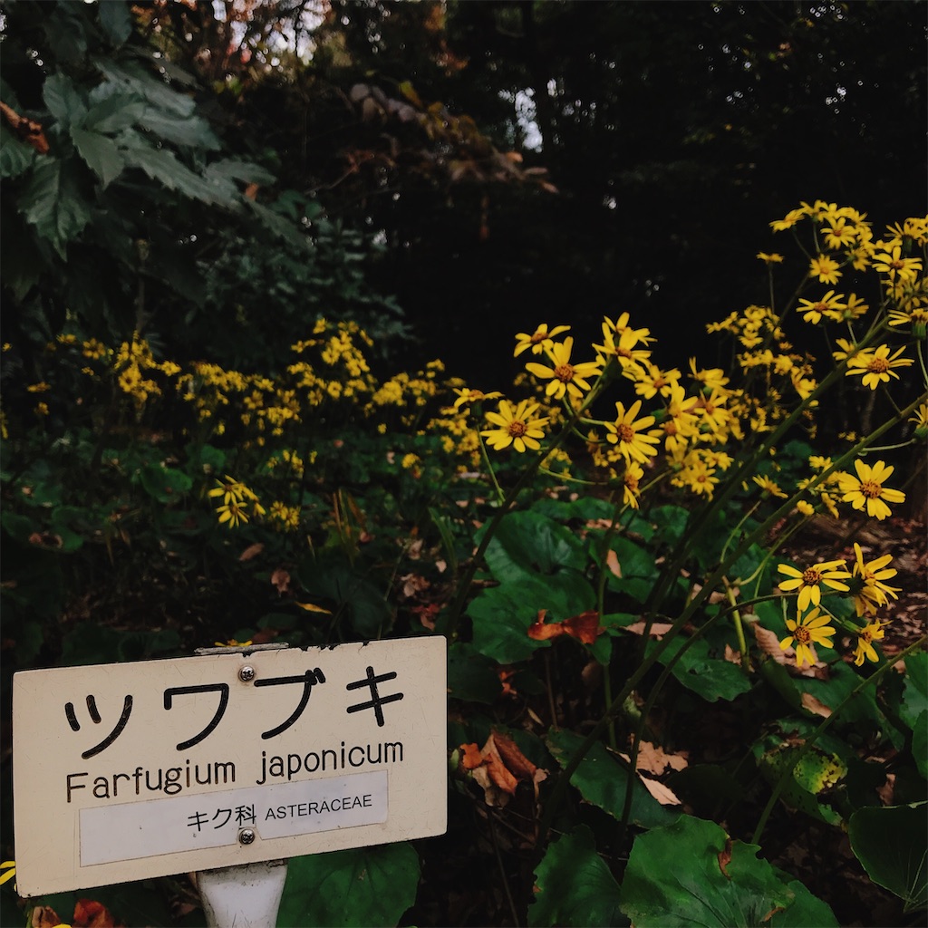 国立科学博物館筑波実験植物園へ行きました キャンパスノート