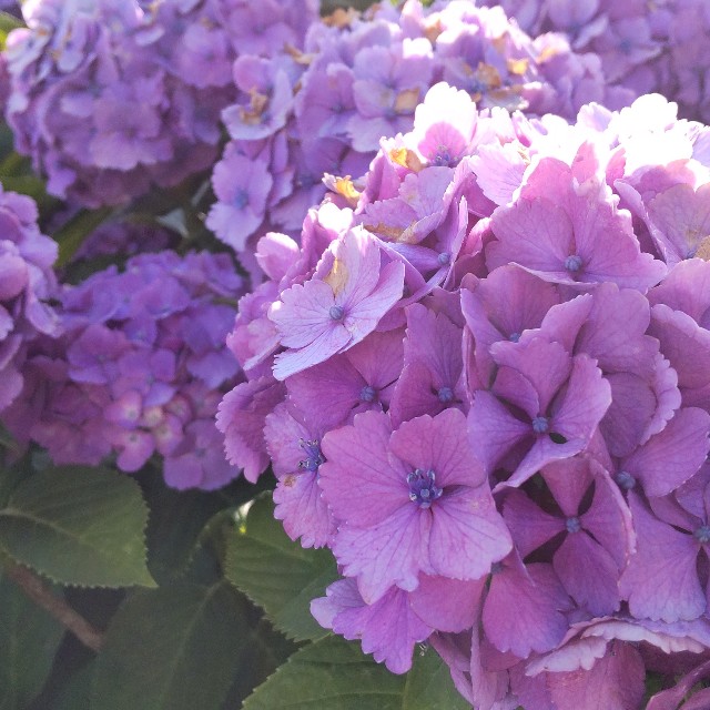 f:id:tabiiko:20210615151335j:image