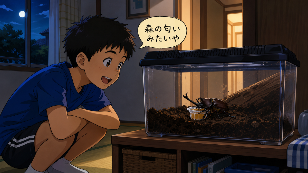 暗い室内でカブトムシが昆虫ゼリーを食べる様子を、小5の息子がケース越しに観察するイラスト