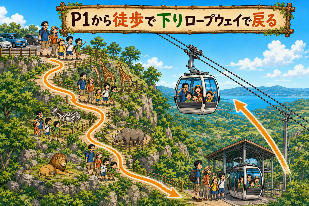上側のP1駐車場から家族で動物を見ながら坂道を下り、動物園最下部からロープウェイで駐車場へ上って戻る順序を示したコミカルなイラスト