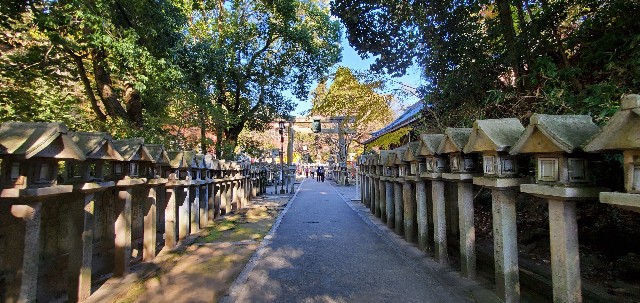 f:id:tabikibunn:20201209184915j:image