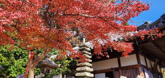 f:id:tabikibunn:20201209185254j:image