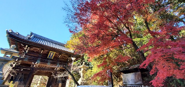 f:id:tabikibunn:20201209185816j:image