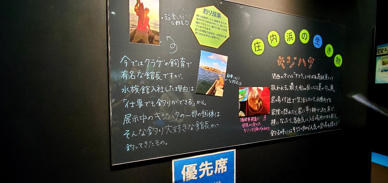 f:id:tabikibunn:20211005124636j:image