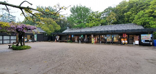 f:id:tabikibunn:20220509223105j:image f:id:tabikibunn:20220509223105j:image