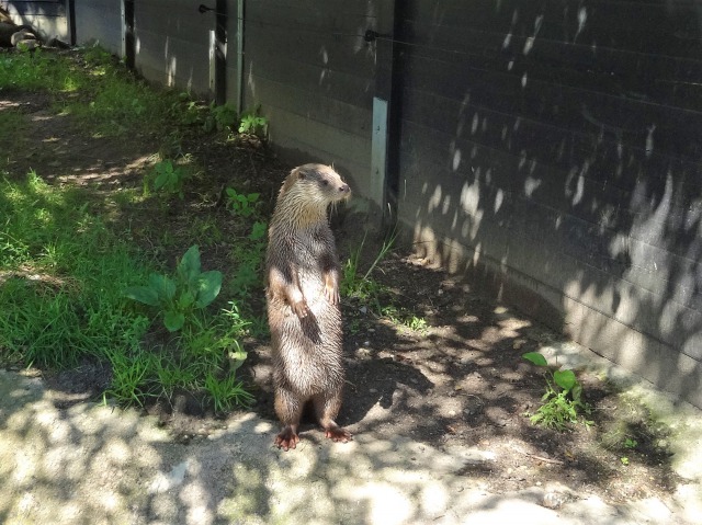 f:id:tabikichi:20180314184738j:plain f:id:tabikichi:20180314184738j:plain