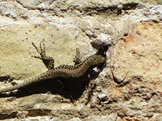 f:id:tabikichi:20181004231037j:plain f:id:tabikichi:20181004231037j:plain